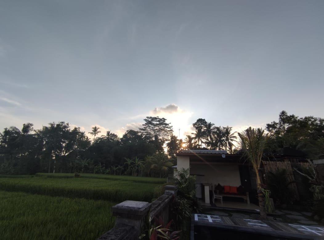 Anggarakasih Ubud Villa المظهر الخارجي الصورة