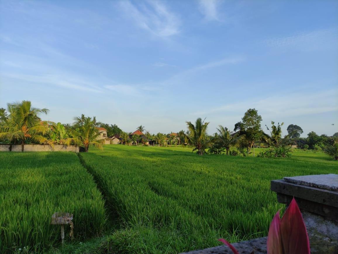 Anggarakasih Ubud Villa المظهر الخارجي الصورة